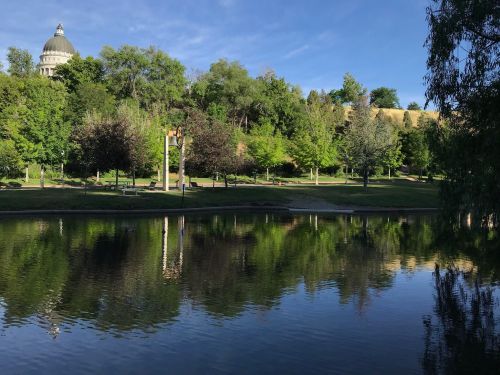 A serene park scene with lush greenery and a calm pond reflecting trees and a building in the background.