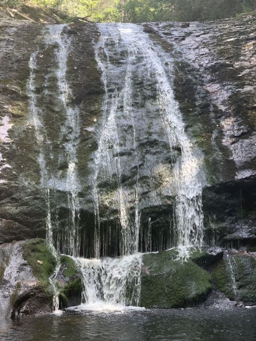 A serene waterfall cascading over moss-covered rocks into a calm pool below, surrounded by lush greenery.