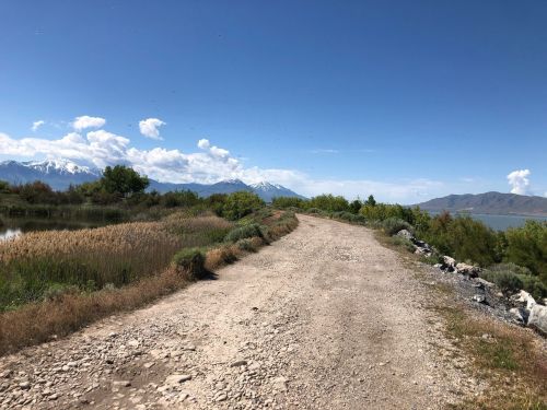 A dirt path winds through lush greenery, with mountains and a clear blue sky in the background.