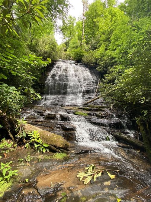 A serene waterfall cascades over rocks, surrounded by lush green trees and foliage in a tranquil forest setting.