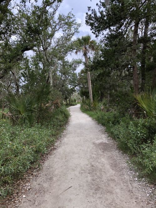 A sandy path winds through lush greenery and trees, leading into a serene natural setting.