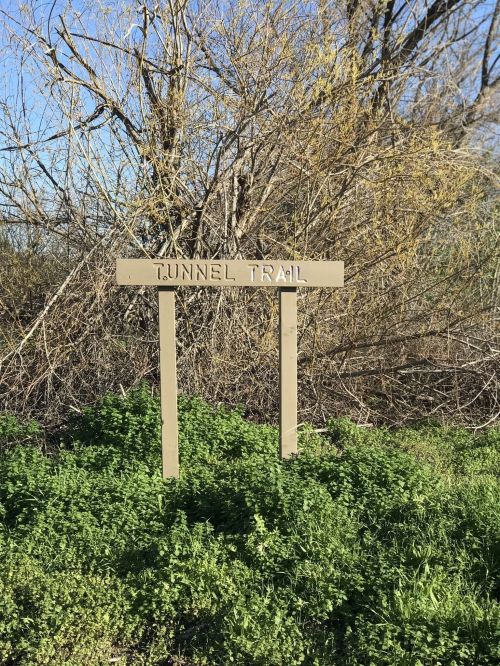 Sign for "Tunnel Trail" surrounded by greenery and bare trees under a clear blue sky.