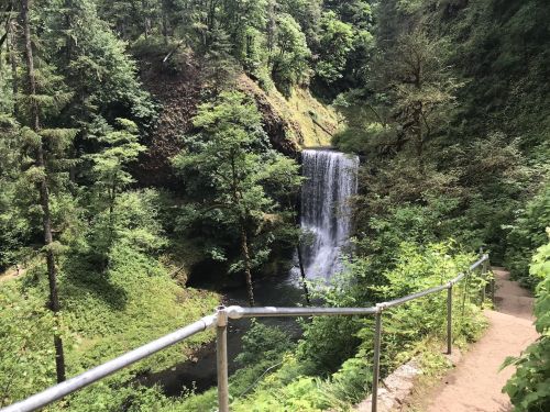A serene waterfall cascades down a lush, green hillside, surrounded by trees and a winding path.