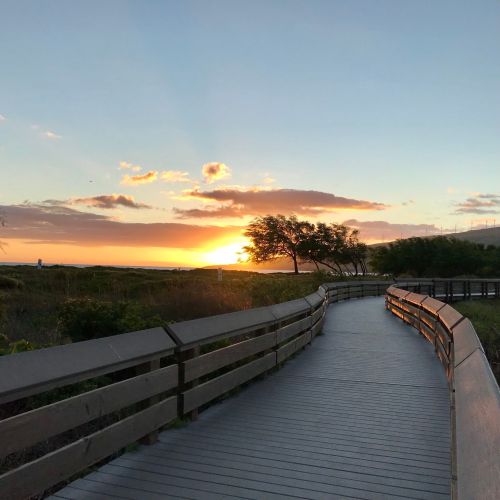 A wooden boardwalk curves through a grassy area, leading towards a vibrant sunset with clouds in the sky.