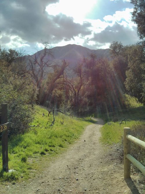 A sunlit path through a green landscape, surrounded by trees and mountains under a partly cloudy sky.