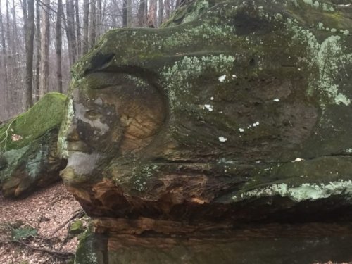 A moss-covered rock formation resembling a face, surrounded by trees in a forested area.