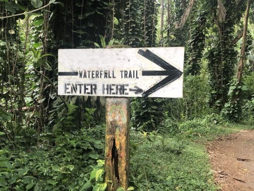 Signpost directing to the Waterfall Trail, with an arrow pointing right and the words "Enter Here." Surrounded by lush greenery.