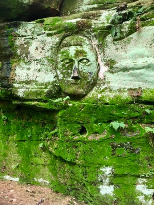 A moss-covered rock face with a carved human-like face, surrounded by greenery and natural textures.