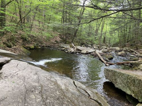 A serene forest scene featuring a flowing stream surrounded by rocks and lush green trees.
