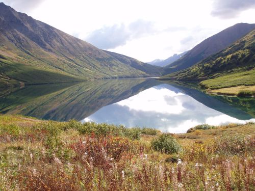 A serene mountain landscape with a calm lake reflecting the surrounding peaks and colorful wildflowers in the foreground.