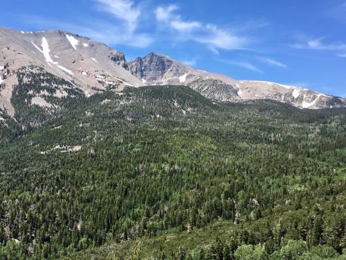 A panoramic view of lush green forests and rugged mountains under a clear blue sky.