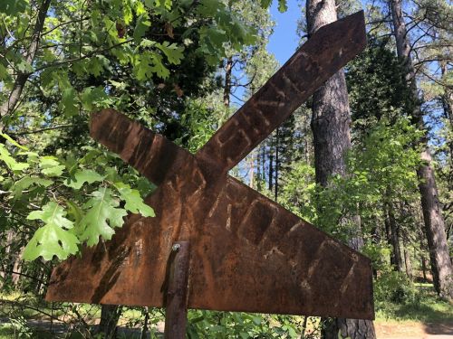 Rusty, weathered signpost with an arrow shape, surrounded by green foliage and tall trees in a forest setting.