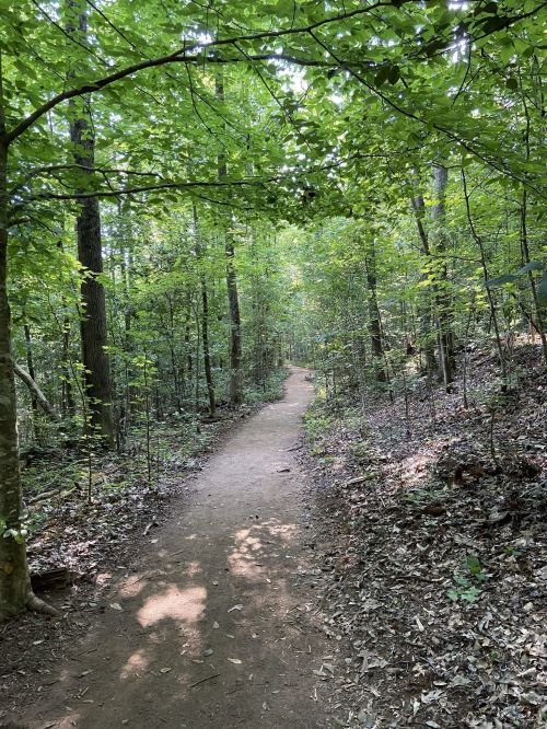 A winding dirt path through a lush green forest, surrounded by trees and dappled sunlight.
