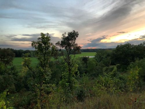 A serene landscape at sunset, featuring trees and a green field under a colorful sky with clouds.