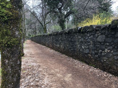 A narrow dirt path lined by a stone wall and trees, surrounded by a serene, wooded area.