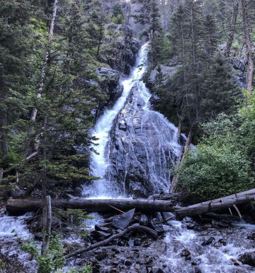 A cascading waterfall flows down rocky terrain, surrounded by lush green trees and fallen logs.
