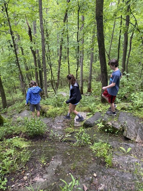Three children hiking down a rocky path in a lush green forest.