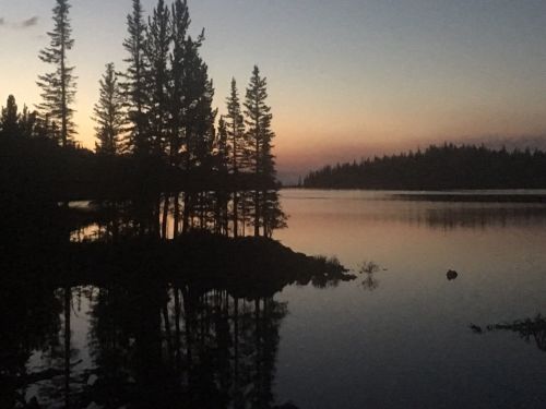 Silhouette of trees against a twilight sky, reflecting on calm water in a serene landscape.