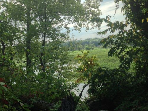Lush green landscape with trees, a river, and distant hills under a cloudy sky.