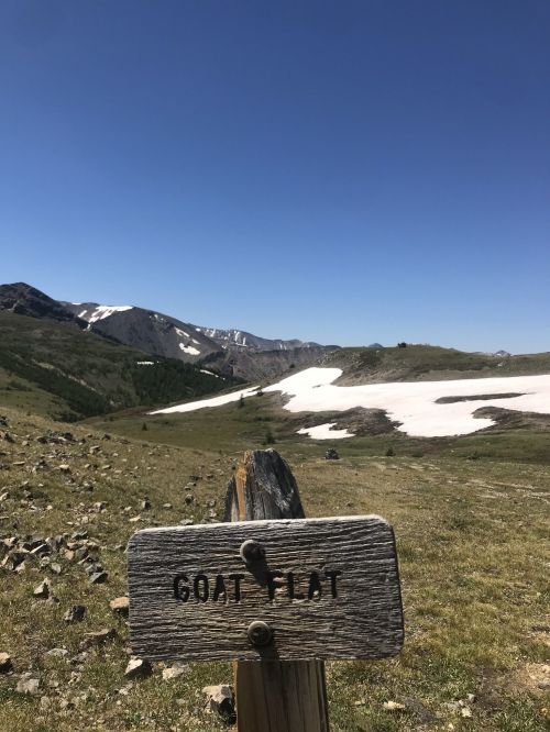 A wooden sign reading "Goat Flat" in a mountainous landscape with snow patches and clear blue sky.