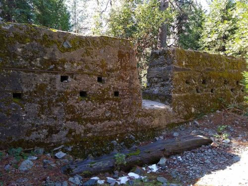 Moss-covered stone wall with small openings, surrounded by trees and forest debris.