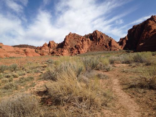 A desert landscape featuring red rock formations, sparse vegetation, and a clear blue sky with wispy clouds.