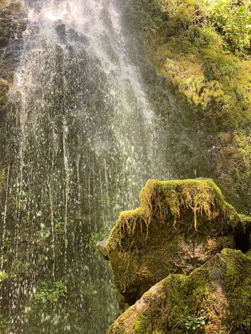 A close-up of a moss-covered rock beneath a cascading waterfall, with water droplets glistening in the sunlight.