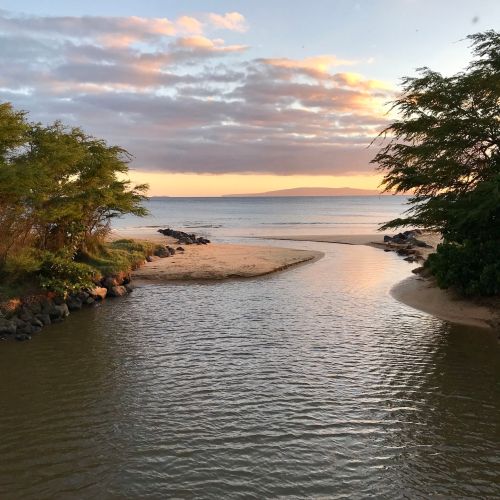 A serene beach scene at sunset, with gentle waves, sandy shore, and lush greenery framing the waterway.