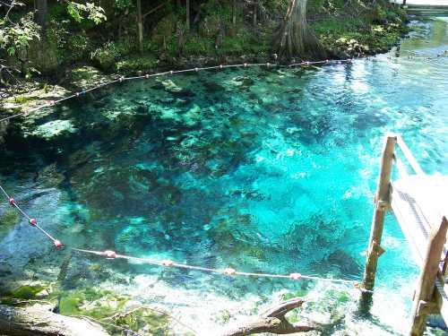 Clear blue water in a natural spring, surrounded by greenery and marked by a floating safety line.