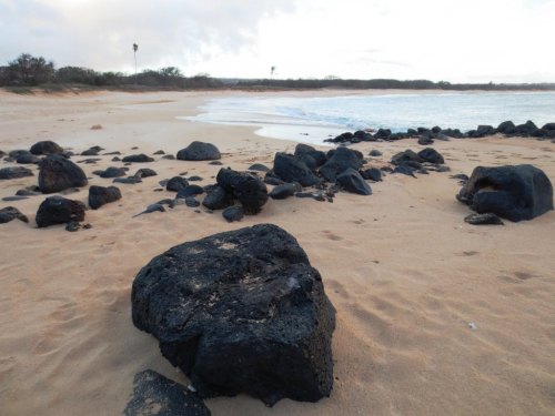 Rocky shoreline with black volcanic rocks scattered on sandy beach, gentle waves lapping at the shore under a cloudy sky.