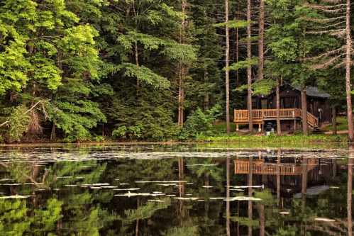 A serene cabin by a pond, surrounded by lush green trees, with reflections on the water's surface.