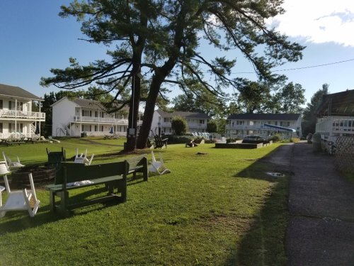 A grassy area with white buildings, a large tree, and scattered chairs, creating a peaceful outdoor setting.