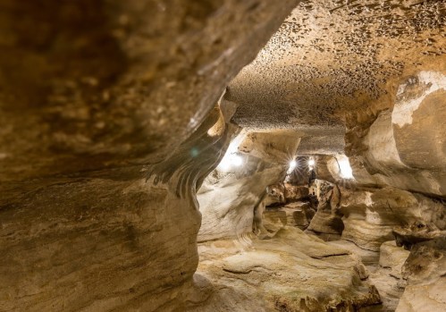 A dimly lit cave interior with smooth rock formations and soft lighting illuminating the walls.