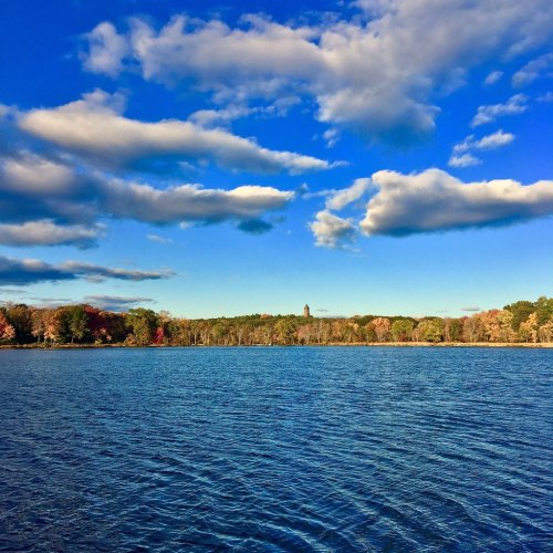 A serene lake surrounded by colorful autumn trees under a bright blue sky with fluffy clouds.