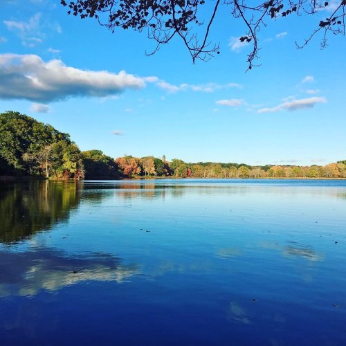 A serene lake reflecting blue skies and colorful autumn trees, with gentle clouds above.