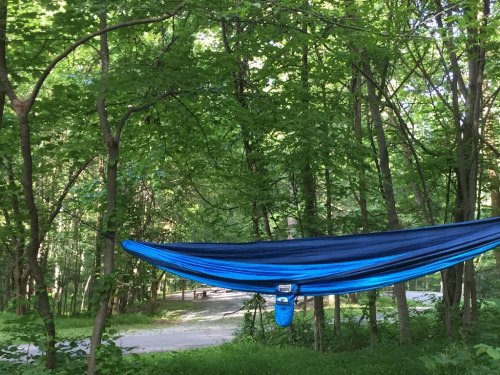 A blue hammock is suspended between trees in a lush green forest, with a gravel path visible in the background.