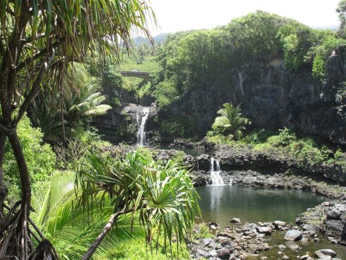 Lush tropical landscape featuring waterfalls cascading into a serene pool surrounded by greenery and rocky terrain.
