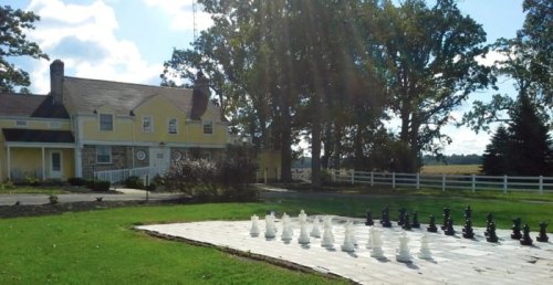 A large outdoor chessboard with white and black pieces in front of a yellow house and trees under a blue sky.