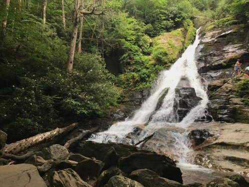 A serene waterfall cascades down rocky terrain, surrounded by lush green trees and foliage.