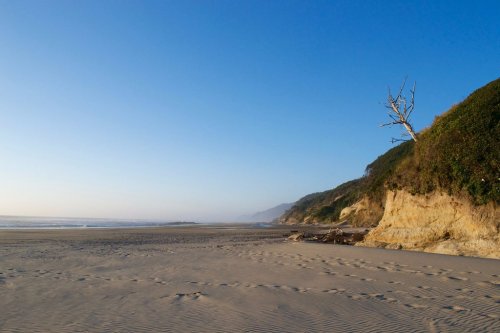 A serene beach scene with a clear blue sky, gentle waves, and a lone tree on a sandy shore beside a rocky cliff.