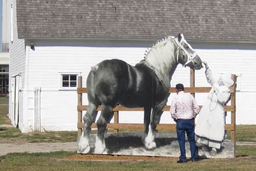 A man stands beside a large black-and-white mural of a horse and a person in front of a white barn.