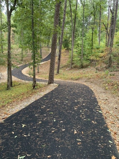 A winding path through a forest, surrounded by trees and fallen leaves, leading into the distance.