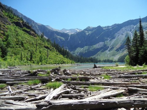 A serene mountain landscape with a clear blue sky, lush greenery, and logs scattered along a tranquil lake shore.