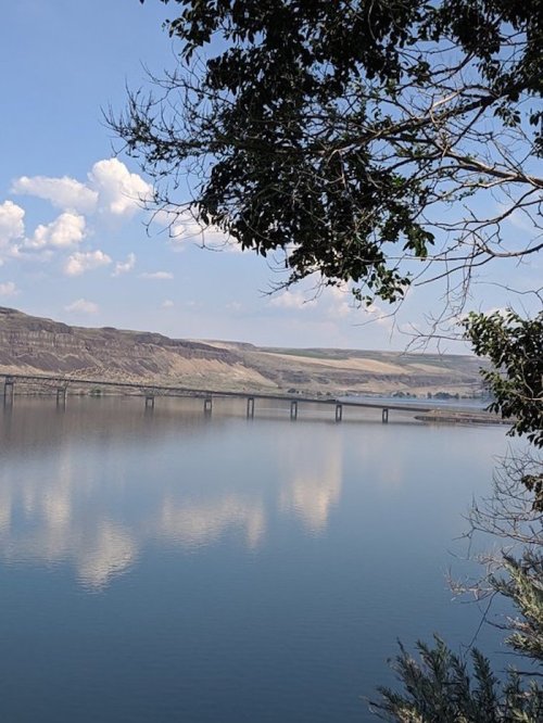 A serene view of a calm river reflecting the sky, with a bridge in the distance and trees framing the scene.