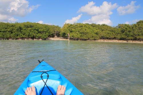 A view from a kayak, showing clear water and lush green mangroves under a blue sky with fluffy clouds.