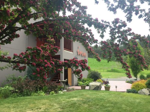 A building surrounded by vibrant pink flowers and lush greenery, with a pathway leading to the entrance.