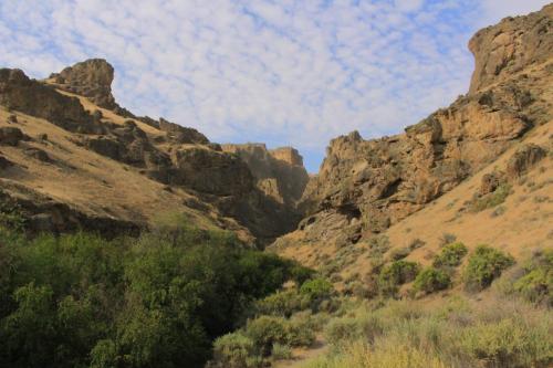 A rocky canyon surrounded by dry hills and scattered greenery under a cloudy blue sky.