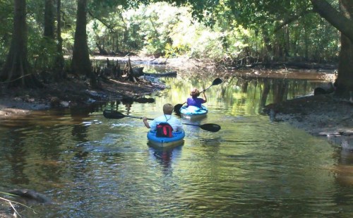 Two people kayaking on a calm, tree-lined waterway, surrounded by lush greenery.