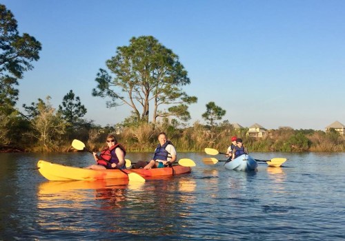 Four people kayaking on a calm waterway, surrounded by trees and a clear blue sky.