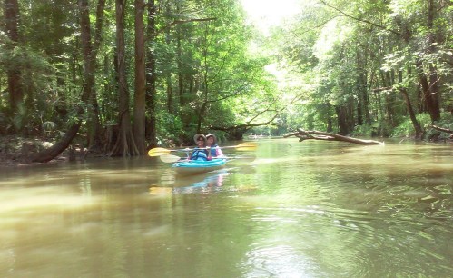 A person kayaking on a calm river surrounded by lush green trees and sunlight filtering through the foliage.